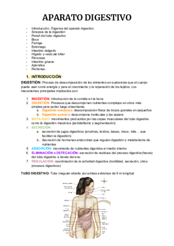 Anatomia-4-35-54.pdf