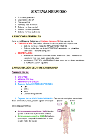 Anatomia-4-7-34.pdf