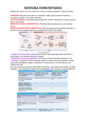 Anatomia-4-1-6.pdf