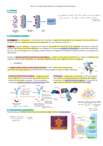 Tema-3-Anticuerpos-2.pdf