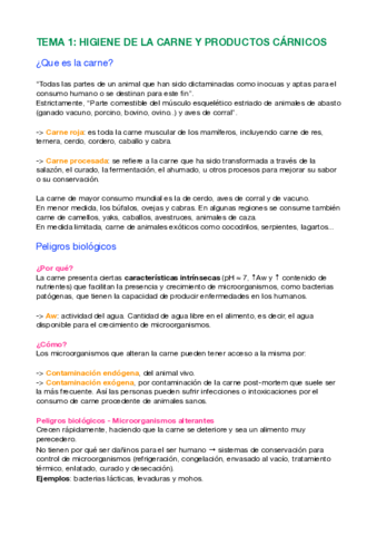 Tema-carne.pdf