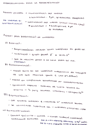Resumen-biorremediacion.pdf