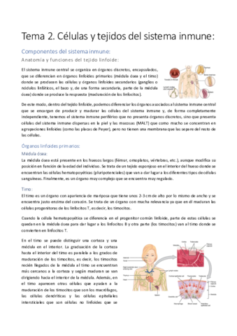 Tema-2.pdf