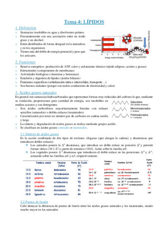 BQ-apuntes-tema-4.pdf