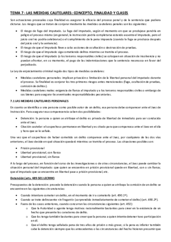 TEMA-7-Procesal.pdf