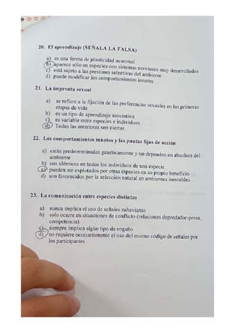 EXAMEN2CUATRI.pdf