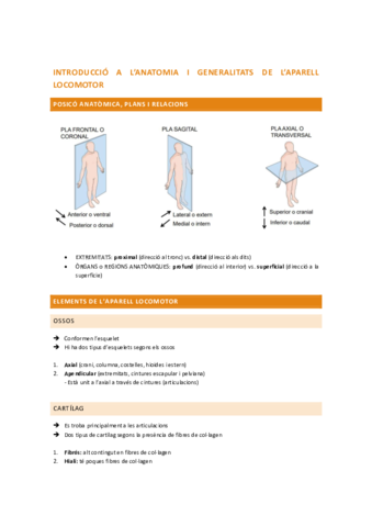 Aparell-locomotor.pdf