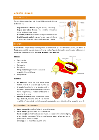 aparell-urinari-i-reproductor.pdf