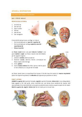 Aparell-respiratori.pdf