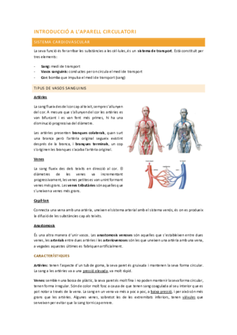 Aparell-cardiovascular.pdf