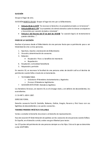 TEORIA.pdf