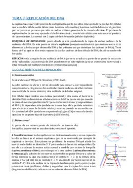 TEMA 3- REPLICACIÓN.pdf