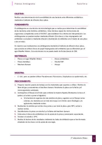Practica-antibiograma-Microbiologia.pdf