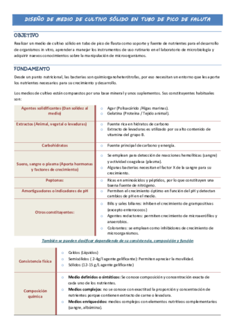 PNT-MEDIO-SOLIDO-EN-PICO-DE-FLAUTA-Microbiologia.pdf