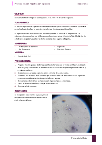 Microbiologia-Practica-tincion-negativa-con-nigrosina.pdf