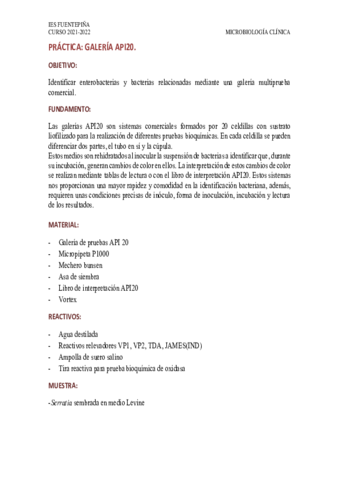 Microbiologia-Practica-API20.pdf
