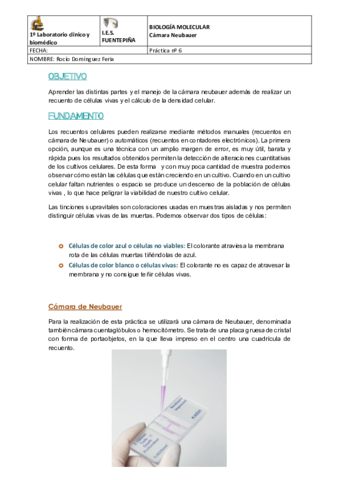 Practica-6Camara-Neubauer.pdf