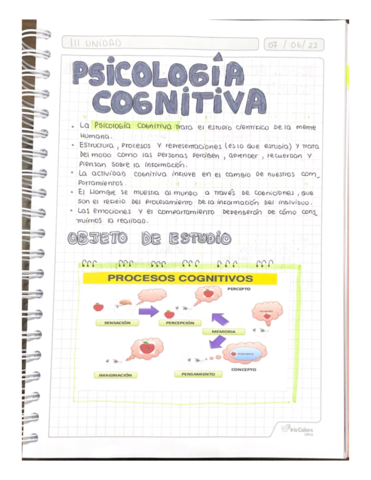 PSICOLOGIA-COGNITIVA.pdf