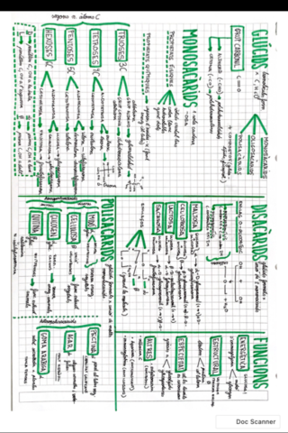 Biomolecules-.pdf
