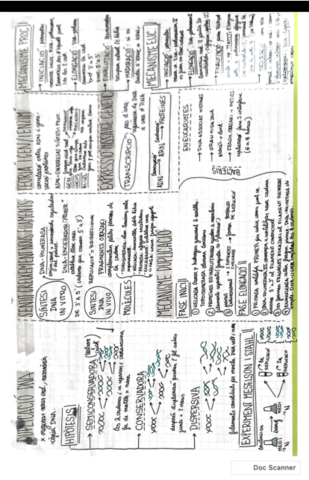 Reproduccio-.pdf