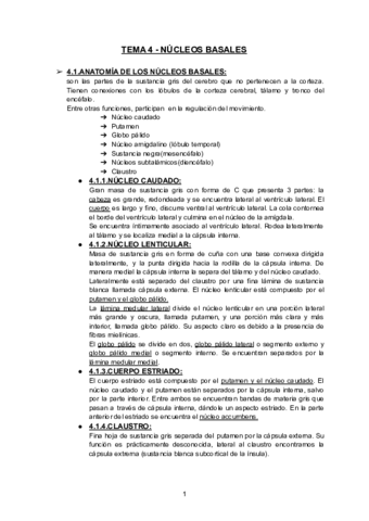 TEMA-4-NUCLEOS-BASALES-1.pdf