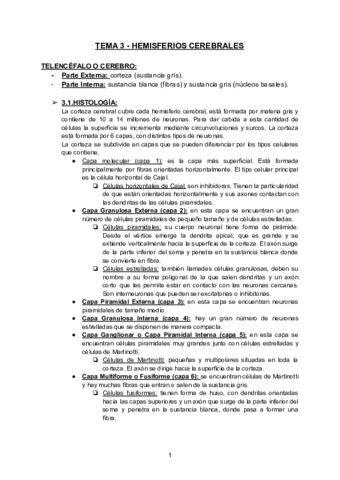 TEMA-3-HEMISFERIOS-CEREBRALES-1.pdf