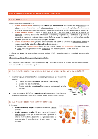 TEMA-3.pdf