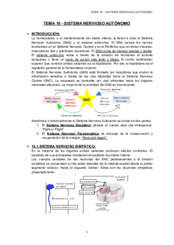 TEMA-10-SNA-1.pdf