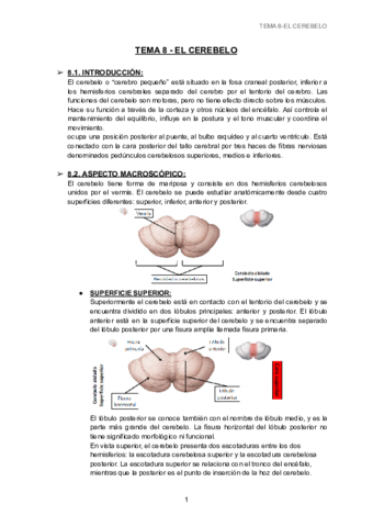 TEMA-8-EL-CEREBELO-1.pdf