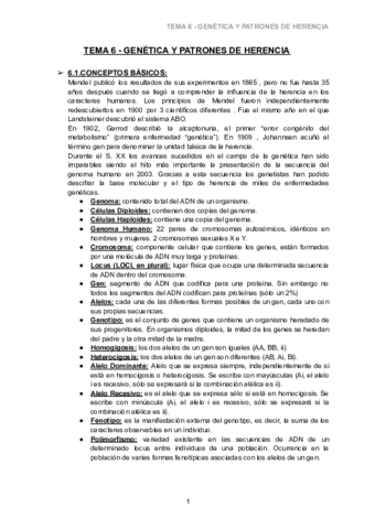 TEMA-6-GENETICA-Y-PATRONES-DE-HERENCIA-1.pdf