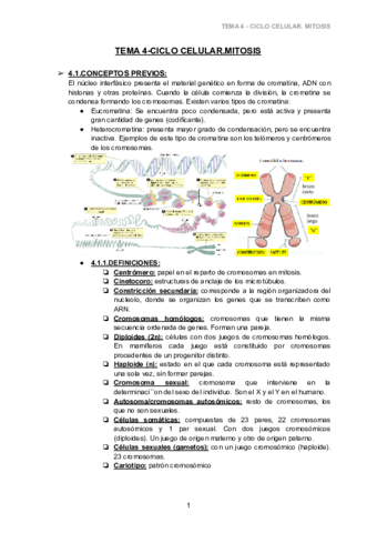 TEMA-4-CICLO-CELULAR.pdf