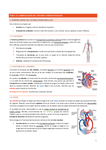 TODO-CARDIO.pdf