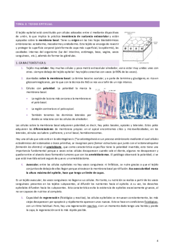 TEMA-2-TEJIDO-EPITELIAL-copia.pdf