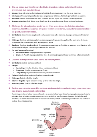 Actividad-1-al-29-Ejercicios.pdf