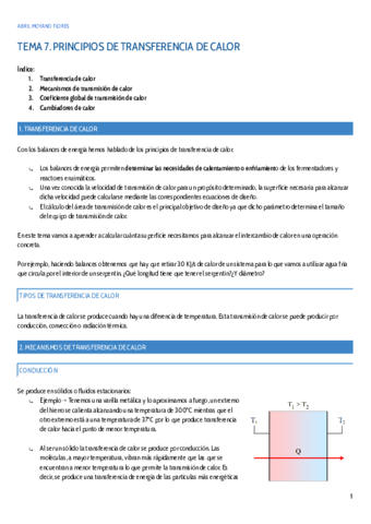 TEMA-7.pdf