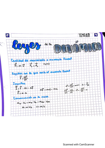 leyes-de-la-dinamica.pdf