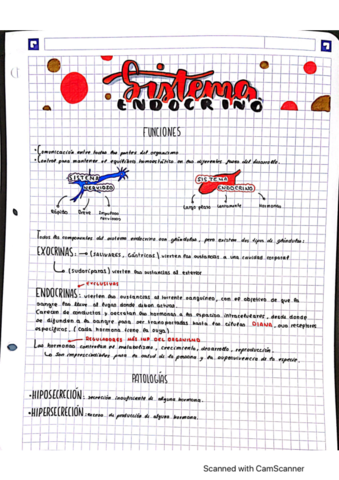 sistema-endocrino.pdf