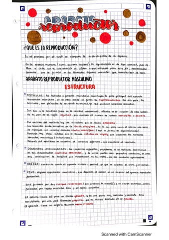 aparato-reproductor.pdf