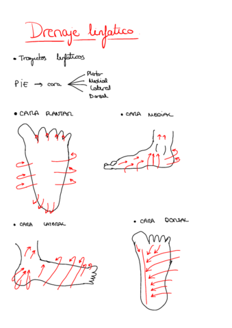 DLM.pdf