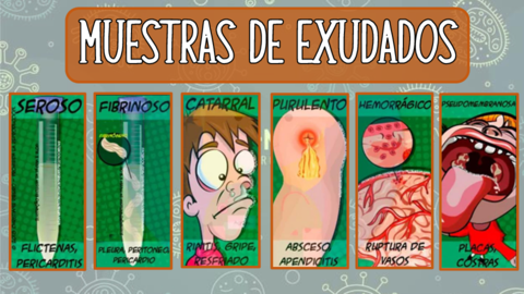 TRABAJO-MONOGRAFICO-GESTION.pdf