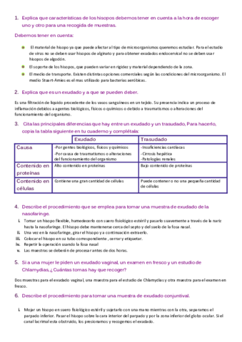 Actividad-1.pdf
