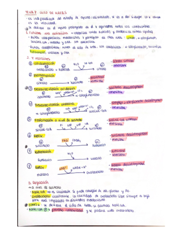 Esquemas-bioquimica-medica-2.pdf