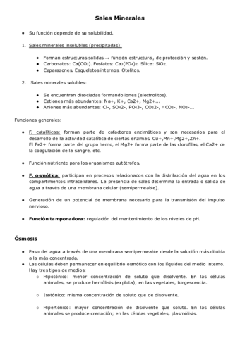 Sales-Minerales.pdf