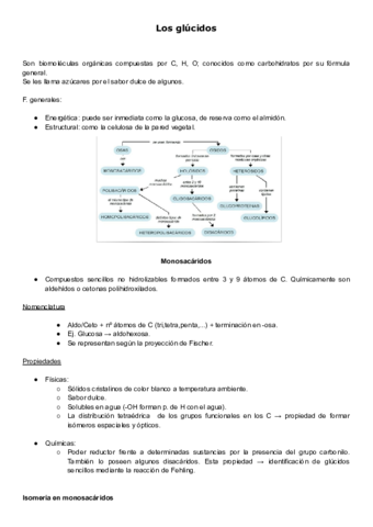 Los-glucidos-pdf.pdf