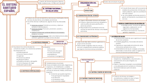 Mapa-conceptual-EL-SISTEMA-SANITARIO-ESPANOL-ROCIO-DOMINGUEZ-FERIA.pdf