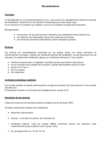 Biocatalizadores.pdf