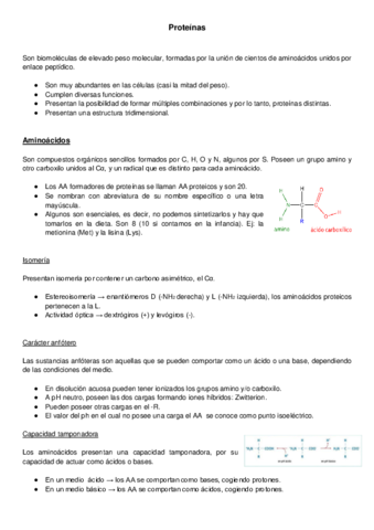 Las-proteinas.pdf