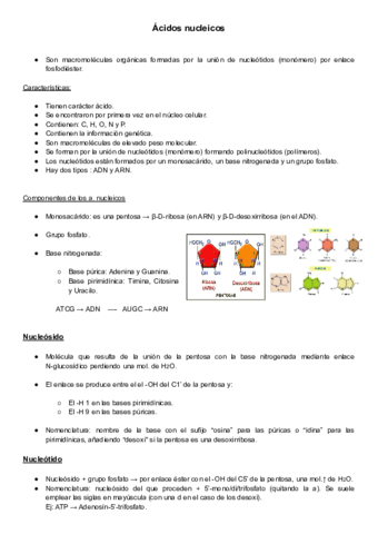 Acidos-Nucelicos.pdf