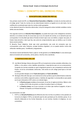 TEMA-1-Concepto-del-DP.pdf
