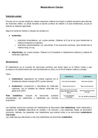 Metabolismo-I-definitivo.pdf